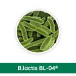 B-lactis.png